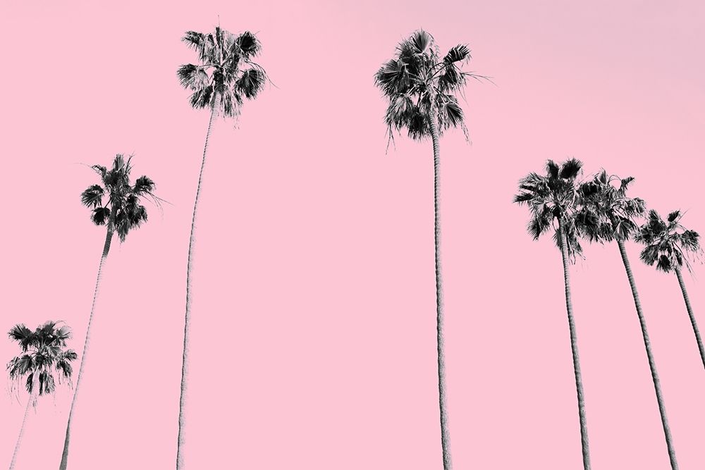 Pink Palms art print by Allen Kimberly for $57.95 CAD