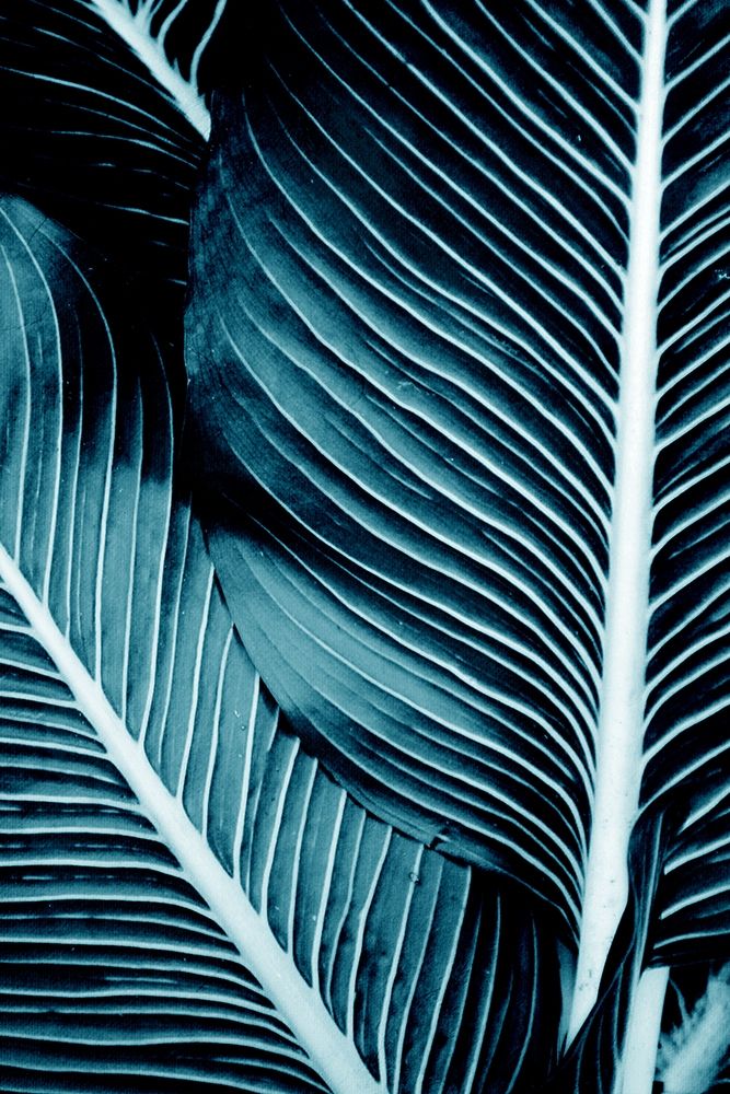 Tropical Blue 1 art print by Kimberly Allen for $57.95 CAD