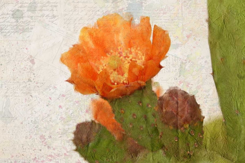 Cacti Flower art print by Kimberly Allen for $57.95 CAD