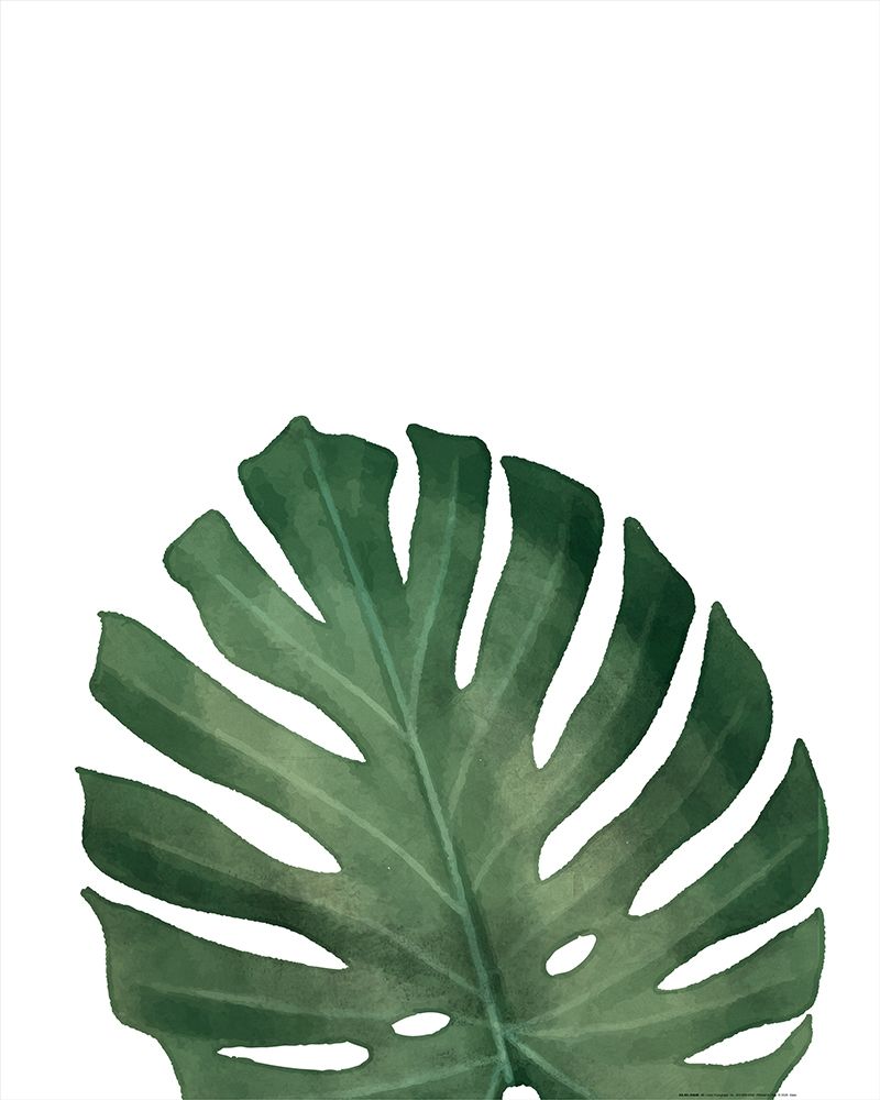 Palms 2 art print by Kimberly Allen for $57.95 CAD