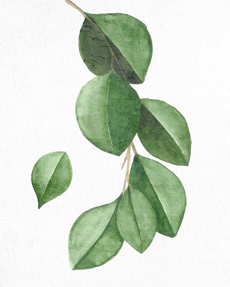 Greens 3 art print by Kimberly Allen for $57.95 CAD