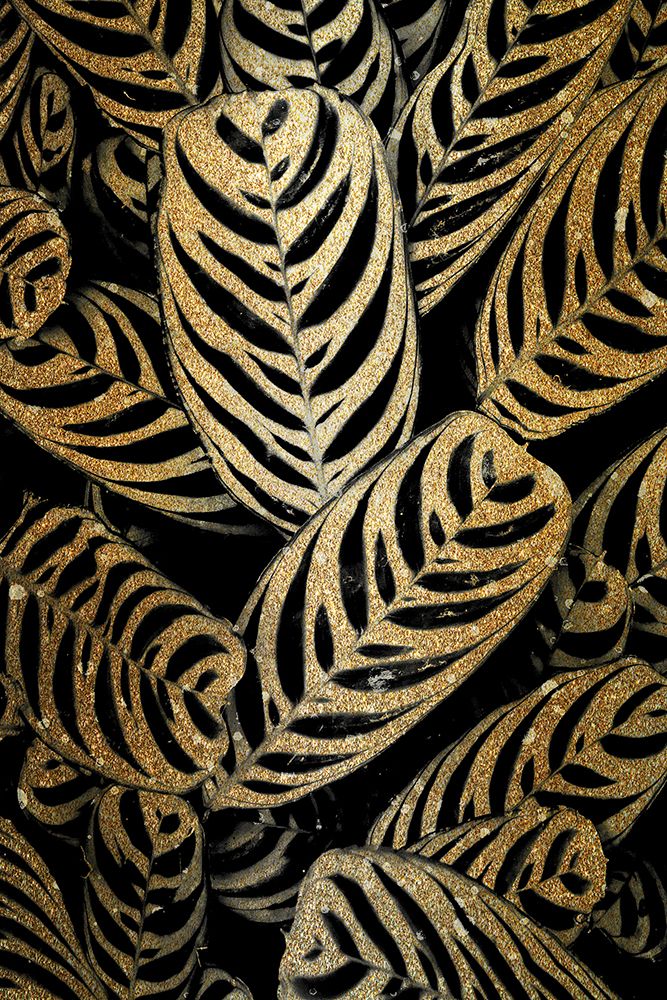 Midnight Palm Gold 2 art print by Kimberly Allen for $57.95 CAD