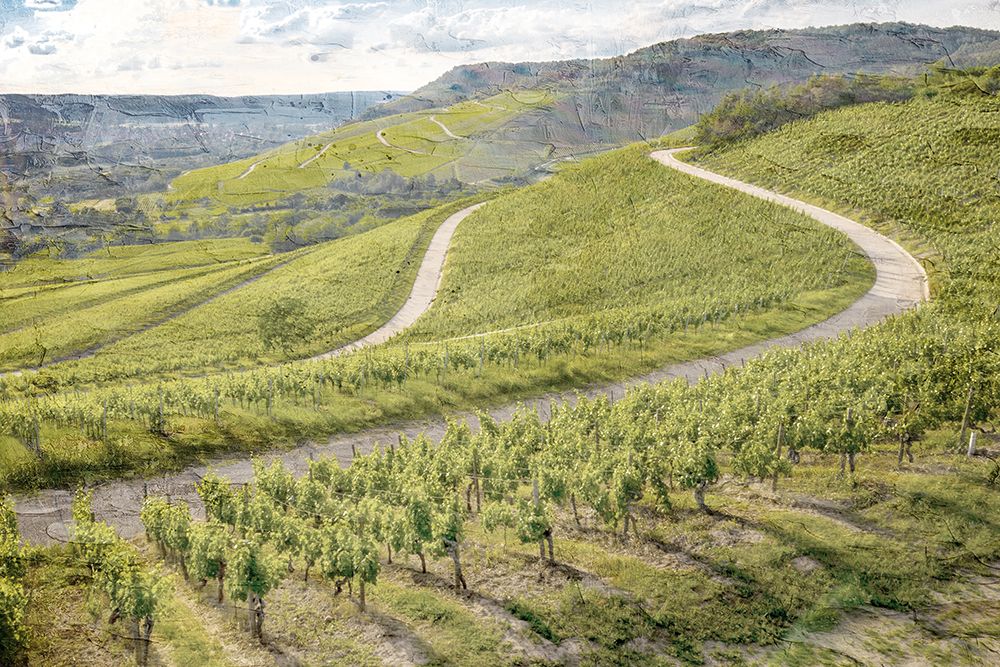 Vineyard Green art print by Kimberly Allen for $57.95 CAD