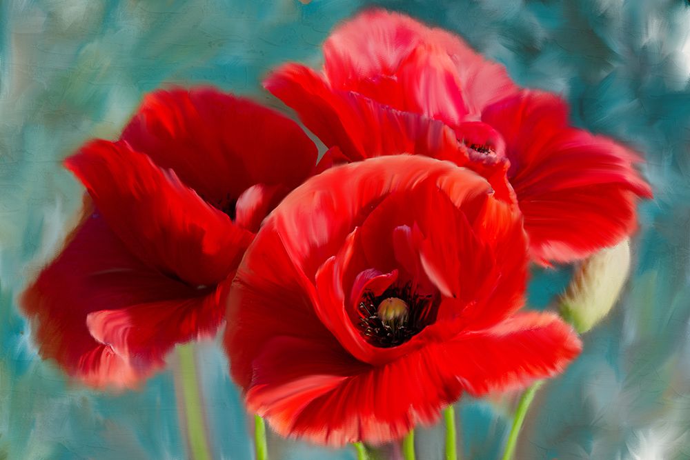 Poppies Blue art print by Kimberly Allen for $57.95 CAD