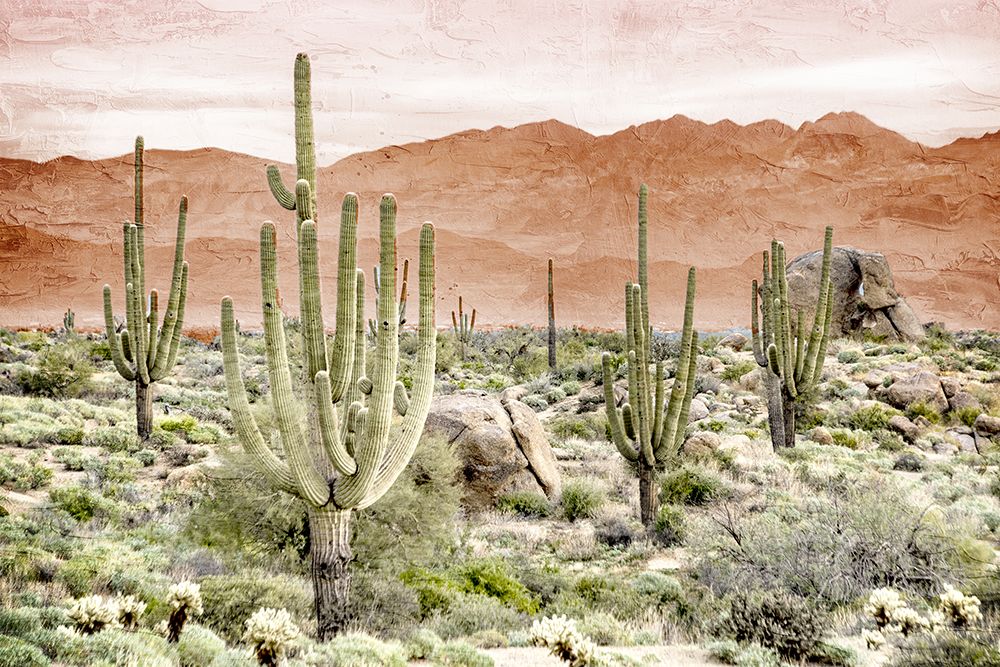 Desert Hills 2 art print by Kimberly Allen for $57.95 CAD