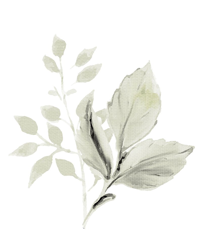 Foliage Sage 1 art print by Kimberly Allen for $57.95 CAD