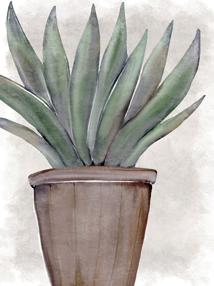 Succulent Plant 1 art print by Kimberly Allen for $57.95 CAD