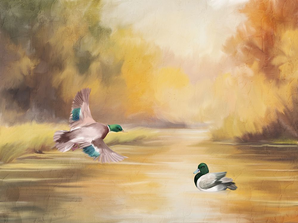Duck Pond art print by Kimberly Allen for $57.95 CAD
