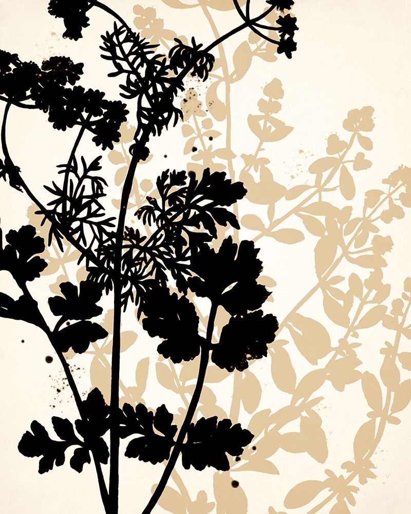 Botanical Black And Cream 1 art print by Kimberly Allen for $57.95 CAD