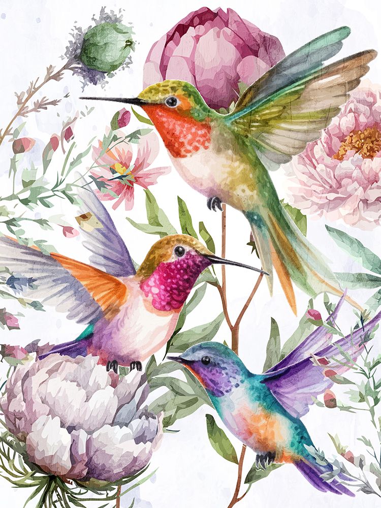 Hummingbird Song 2 art print by Kimberly Allen for $57.95 CAD