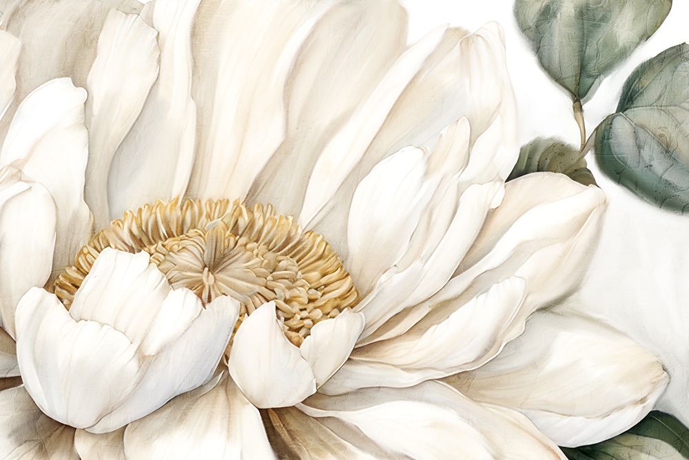 Open Bloom art print by Kimberly Allen for $57.95 CAD