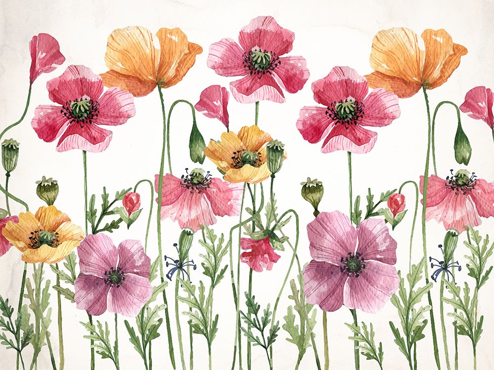 Poppy Place 1 art print by Kimberly Allen for $57.95 CAD