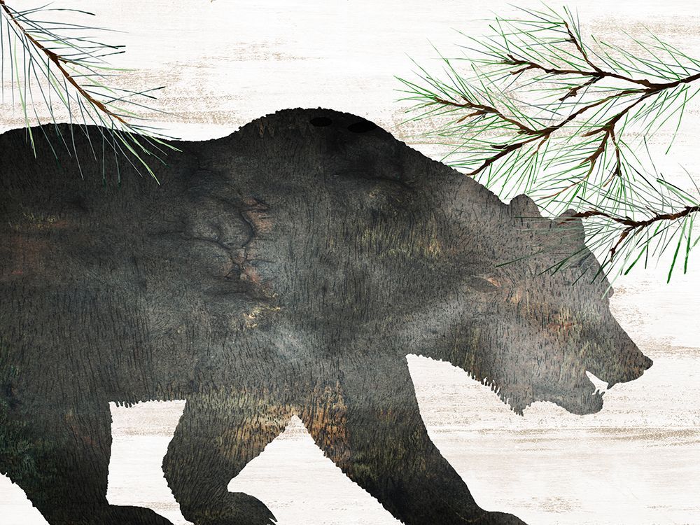 Bear Silhouette art print by Kimberly Allen for $57.95 CAD