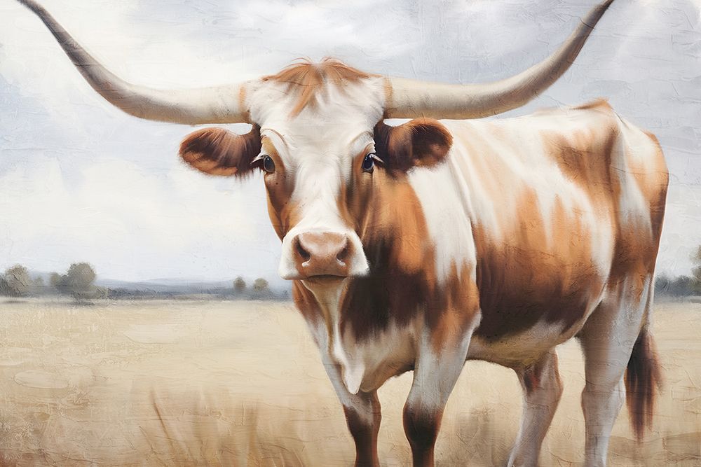 Longhorn art print by Kimberly Allen for $57.95 CAD