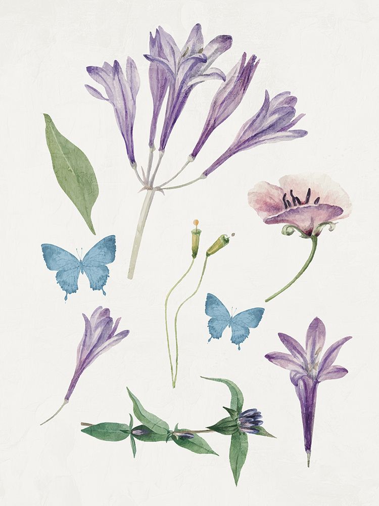 Botanical Purple 1 art print by Kimberly Allen for $57.95 CAD