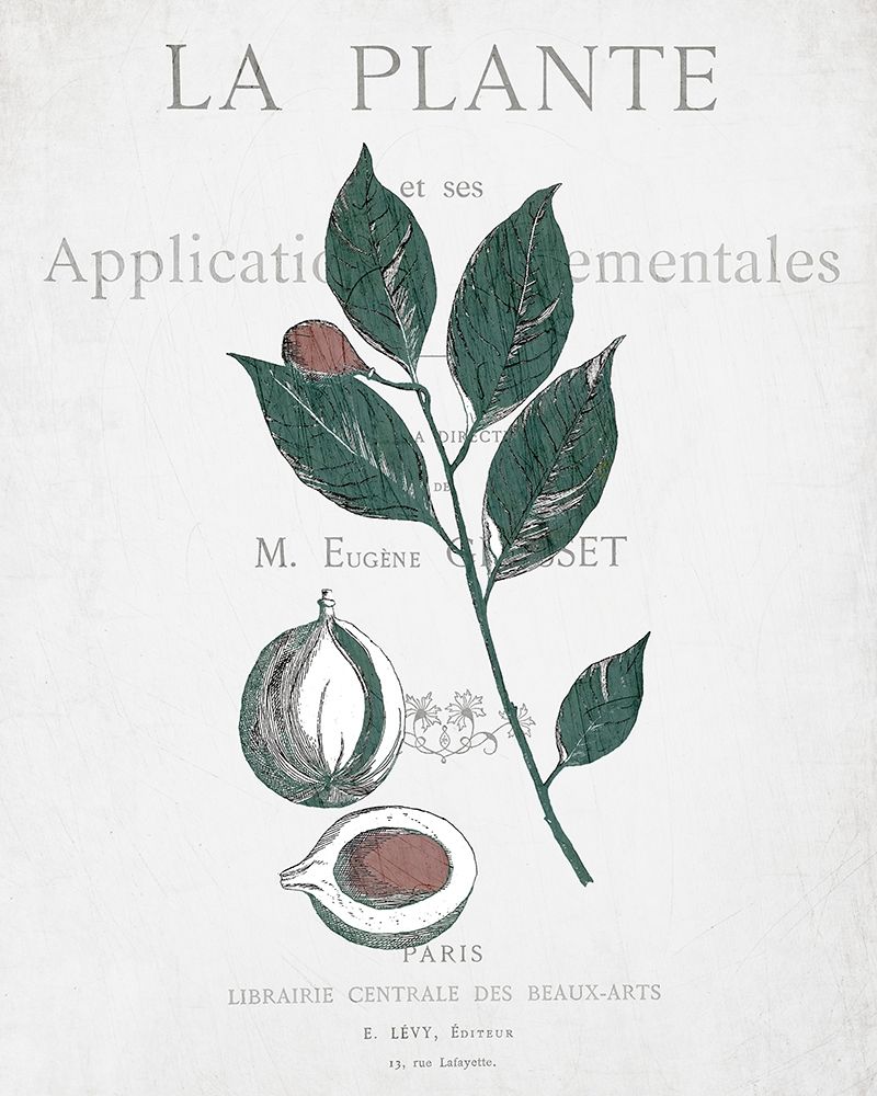 Botanical 3 art print by Allen Kimberly for $57.95 CAD