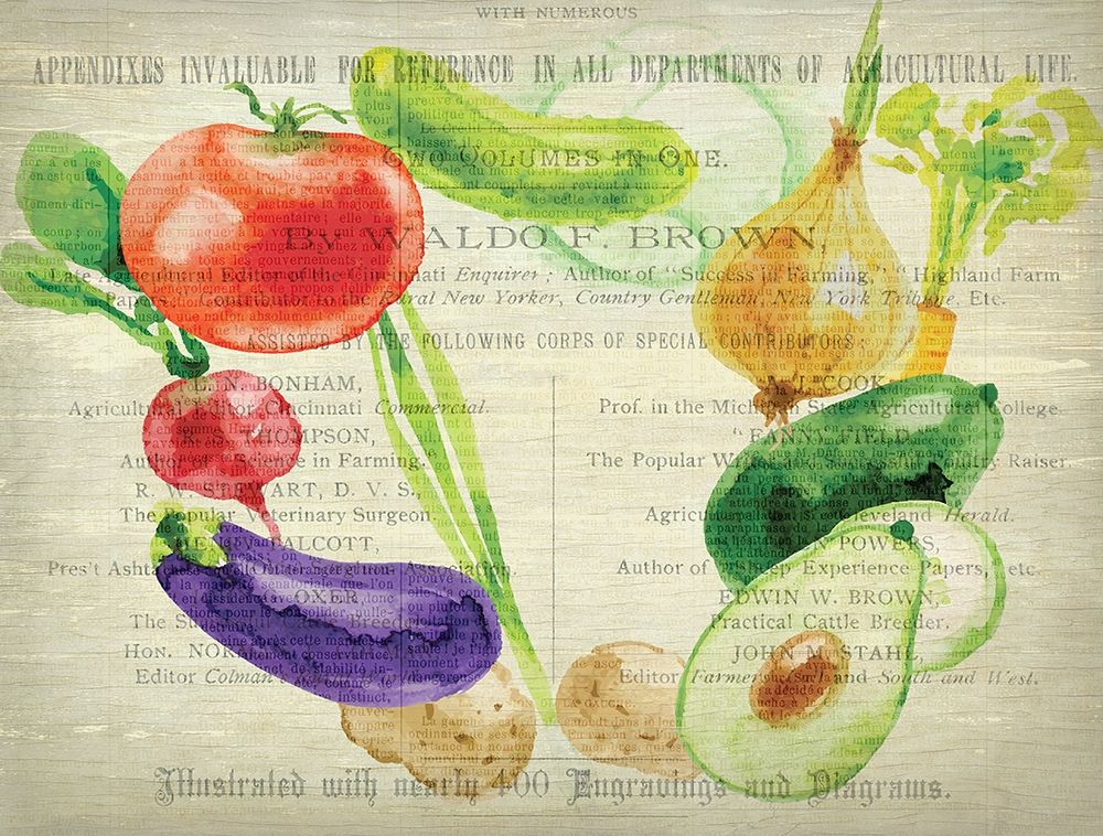 Fresh Veggies 2 art print by Kimberly Allen for $57.95 CAD