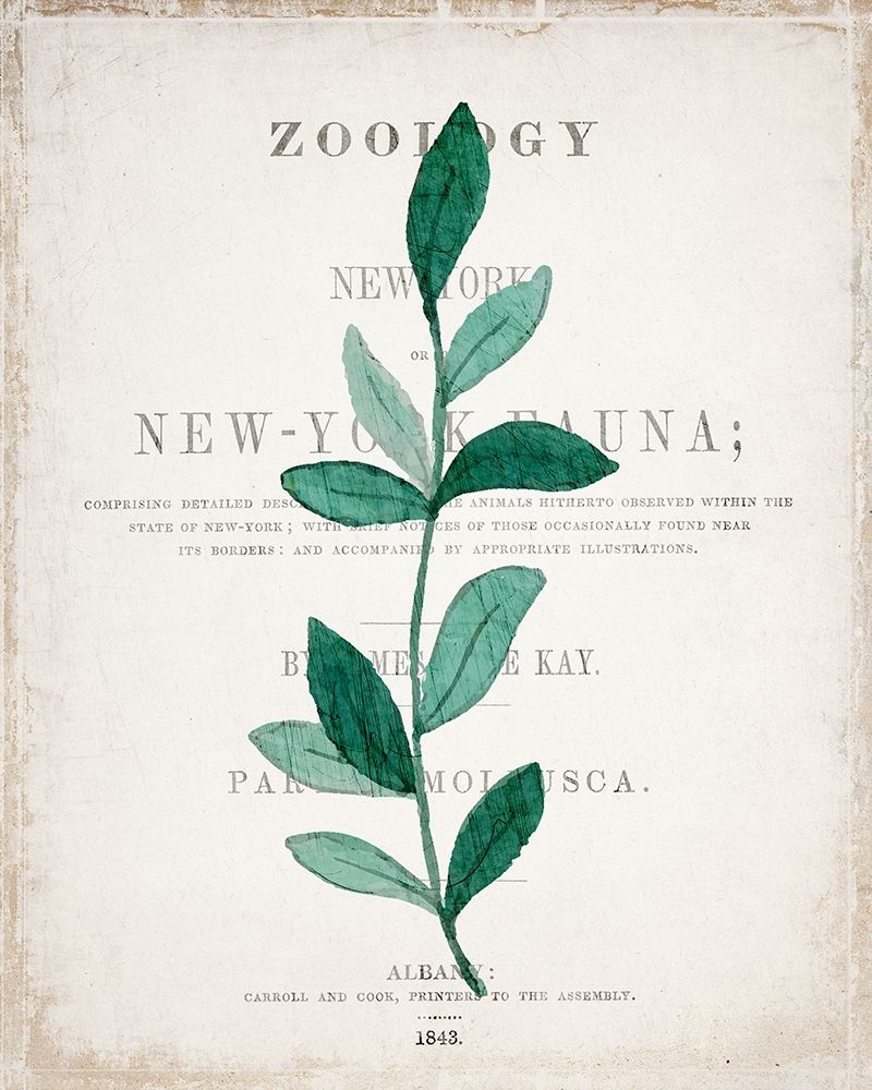 Botanical Pages 2 art print by Allen Kimberly for $57.95 CAD