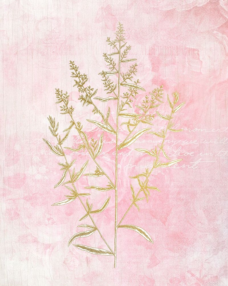 Botanical Pink 1 art print by Allen Kimberly for $57.95 CAD