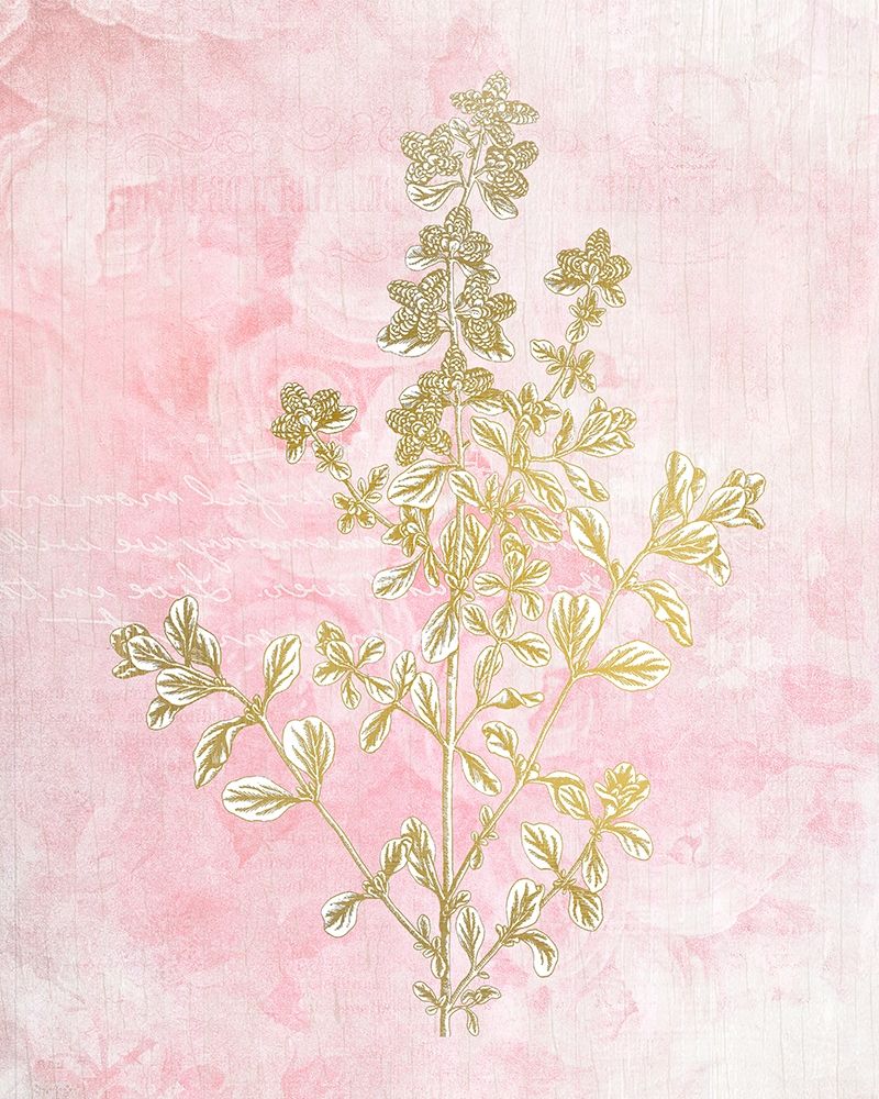 Botanical Pink 2 art print by Allen Kimberly for $57.95 CAD
