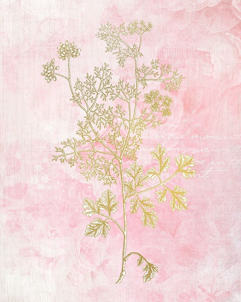 Botanical Pink 3 art print by Allen Kimberly for $57.95 CAD