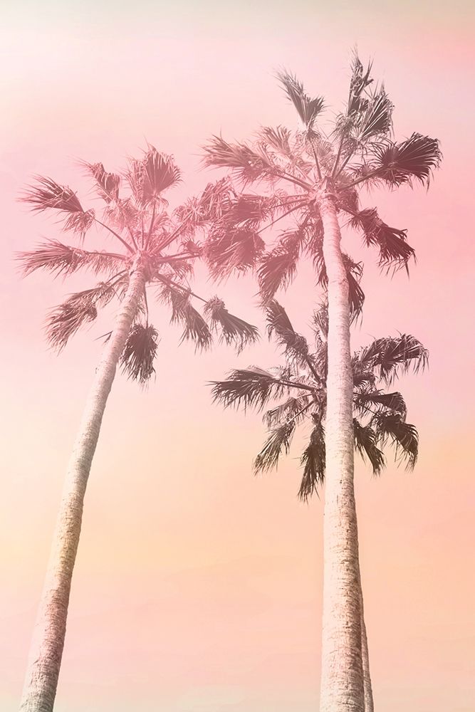 Pink Sunset 2 art print by Allen Kimberly for $57.95 CAD