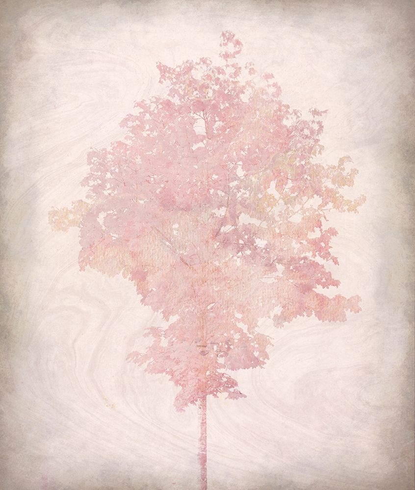 Pink Tree 1 art print by Allen Kimberly for $57.95 CAD