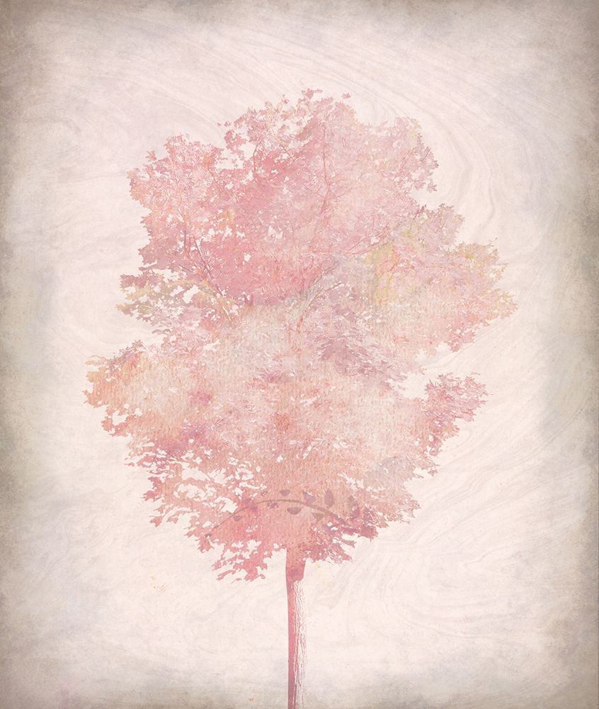 Pink Tree 2 art print by Allen Kimberly for $57.95 CAD