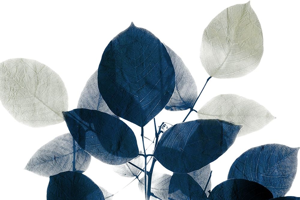 Midnight Leaves 1a art print by Kimberly Allen for $57.95 CAD