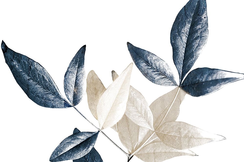 Midnight Leaves 2 art print by Kimberly Allen for $57.95 CAD