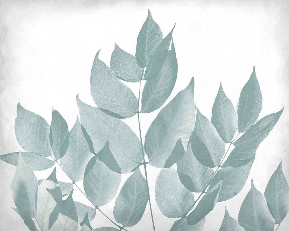 Antiqued Leaves 1 art print by Allen Kimberly for $57.95 CAD