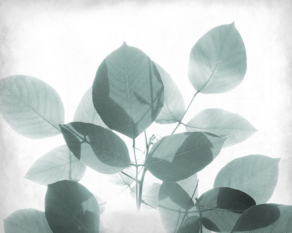 Antiqued Leaves 2 art print by Allen Kimberly for $57.95 CAD