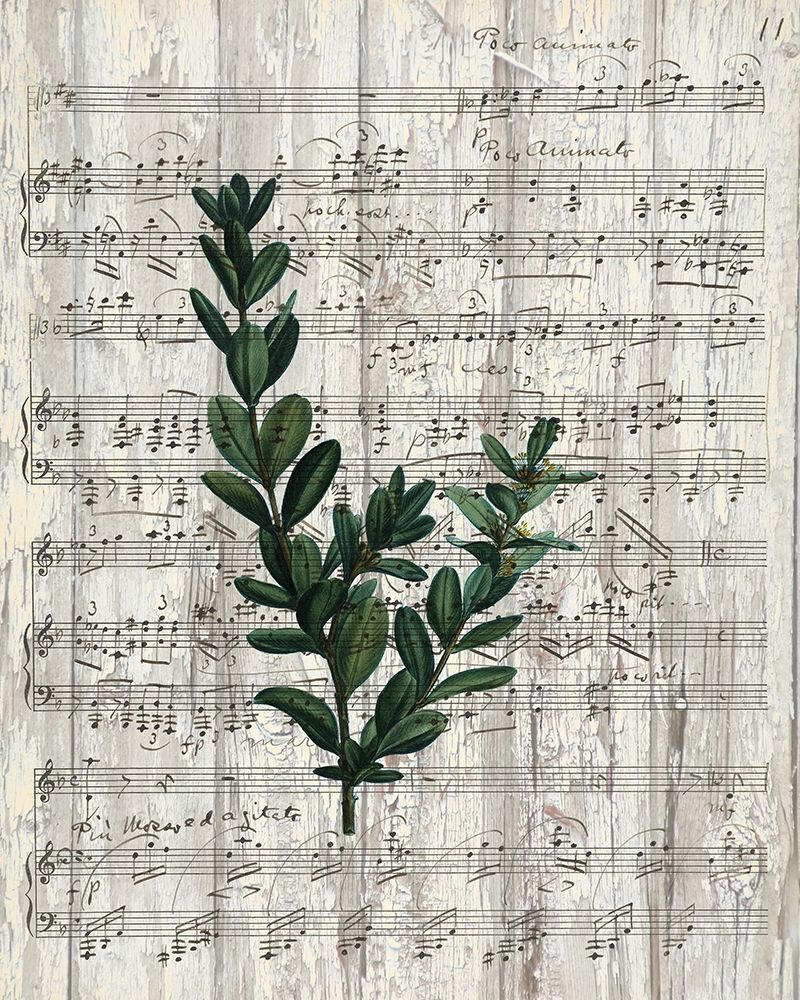 Musical Botanical 1 art print by Allen Kimberly for $57.95 CAD