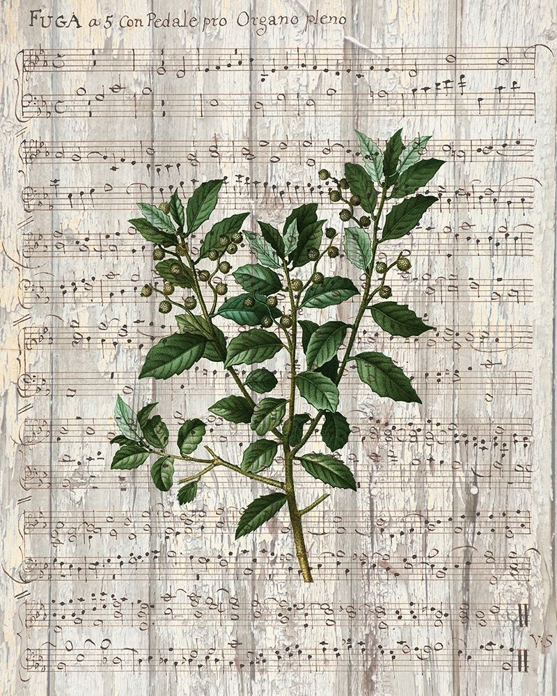 Musical Botanical 2 art print by Allen Kimberly for $57.95 CAD