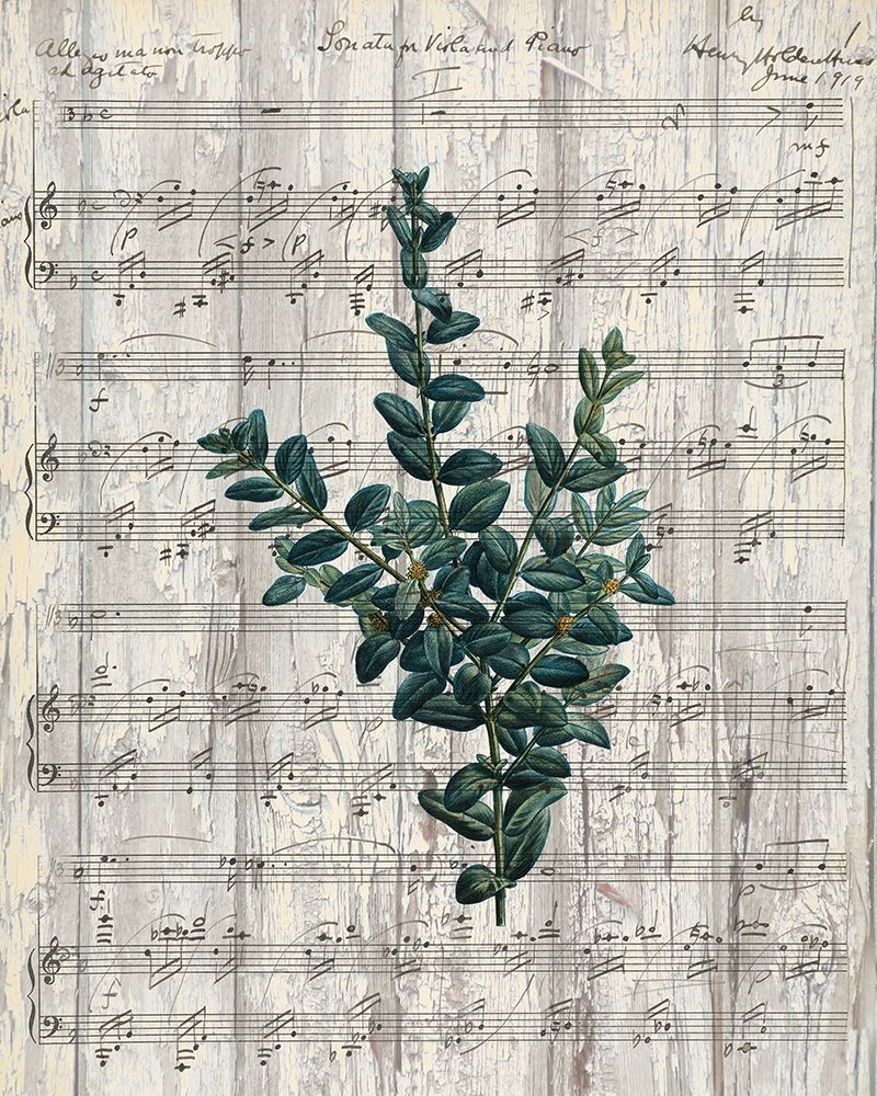 Musical Botanical 3 art print by Allen Kimberly for $57.95 CAD