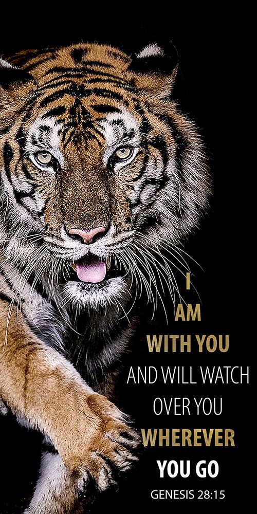 I Am With You Tiger art print by Kimberly Allen for $57.95 CAD