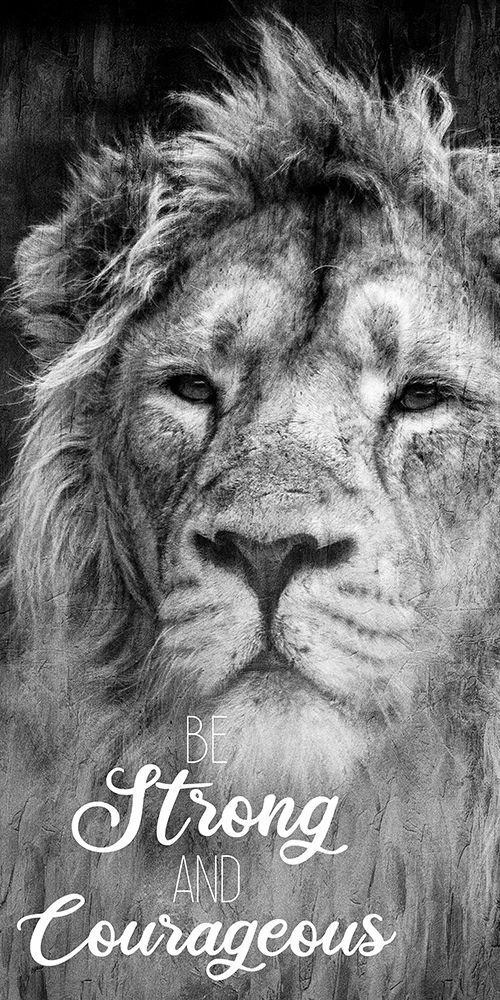 Lion Strong art print by Kimberly Allen for $57.95 CAD