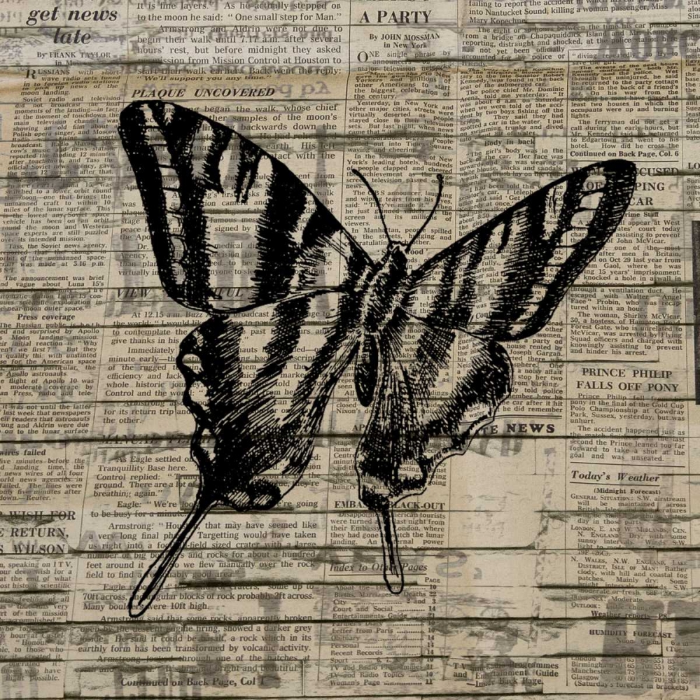 Butterfly On Print 2 art print by Kimberly Allen for $57.95 CAD