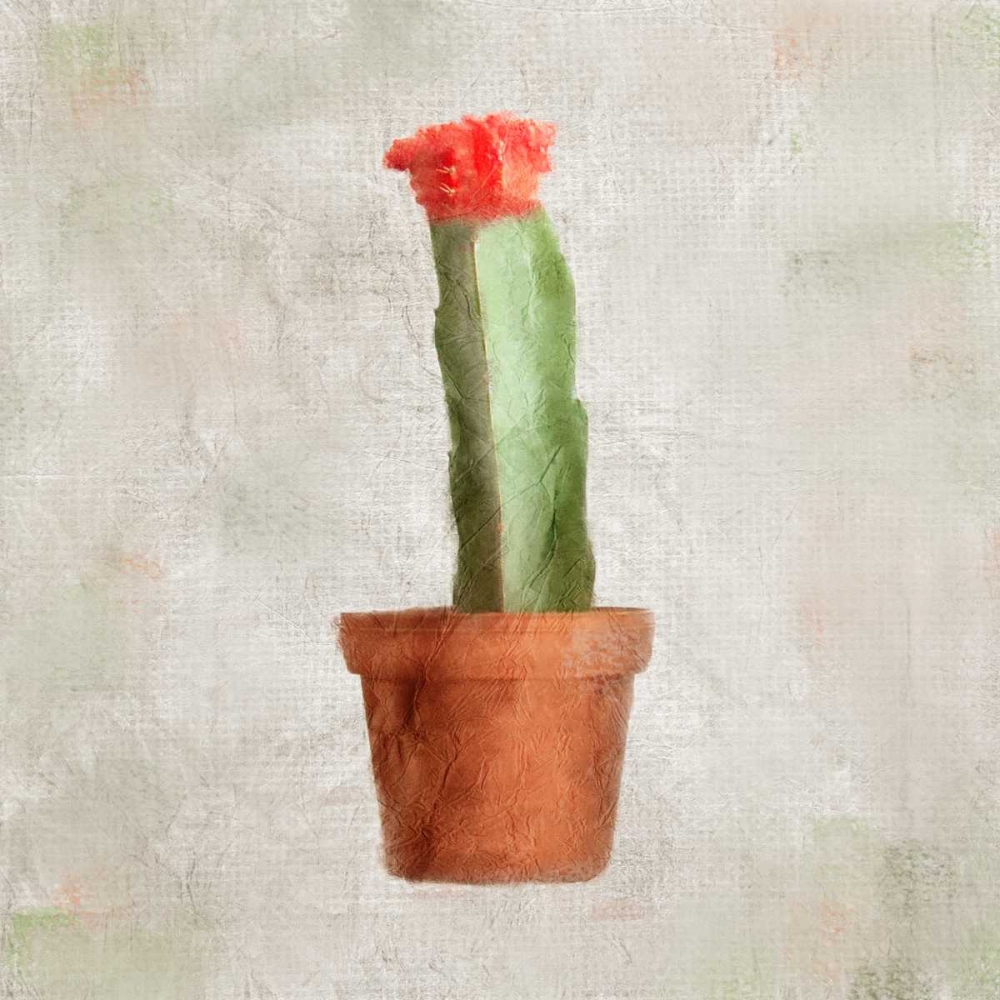 Potted Life 1 art print by Kimberly Allen for $57.95 CAD