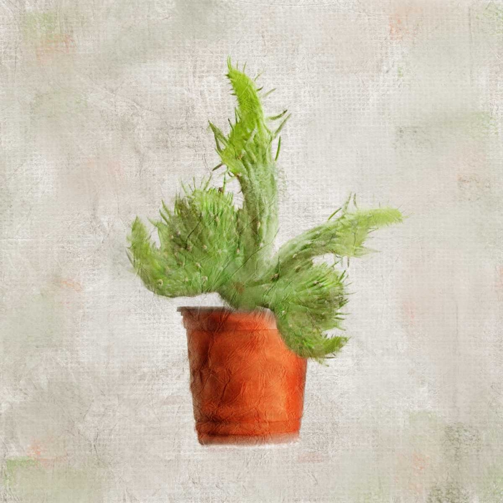 Potted Life 2 art print by Kimberly Allen for $57.95 CAD