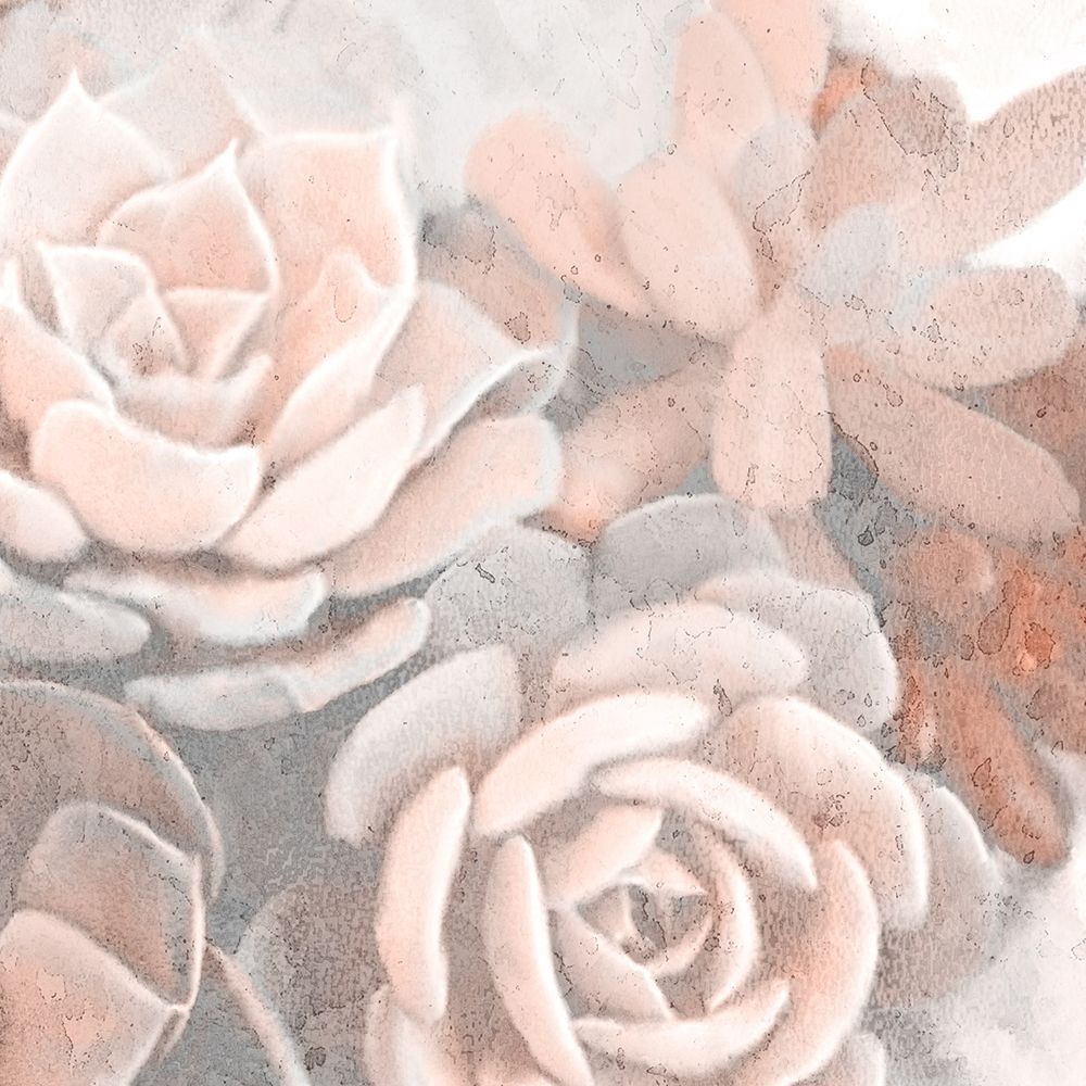 Dusty Pink Succulents 1 art print by Allen Kimberly for $57.95 CAD