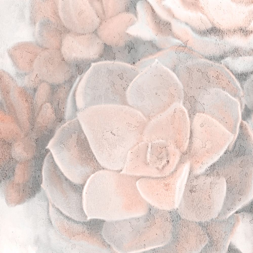 Dusty Pink Succulents 2 art print by Allen Kimberly for $57.95 CAD