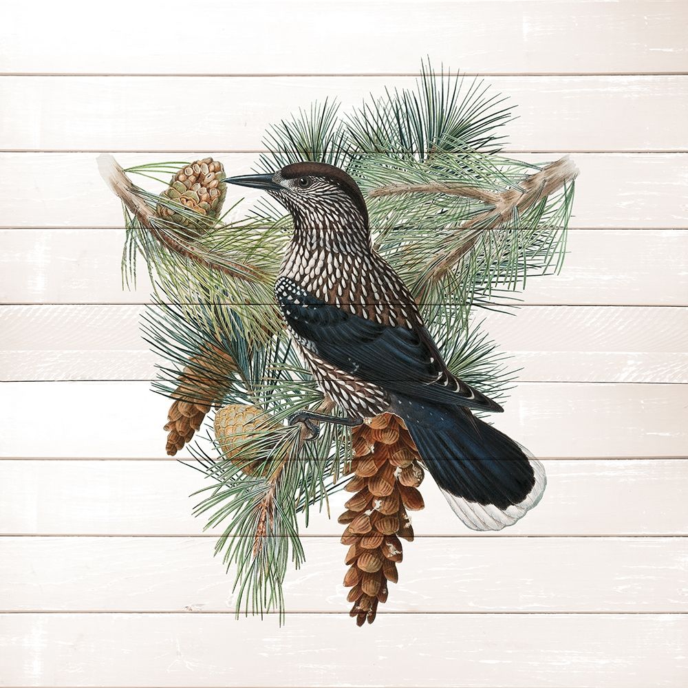Winter Bird 3 art print by Allen Kimberly for $57.95 CAD