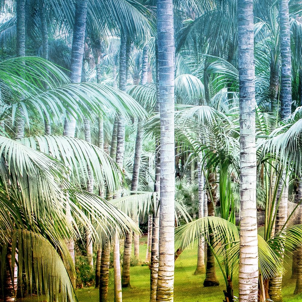 Palm Tree Forest 1 art print by Allen Kimberly for $57.95 CAD