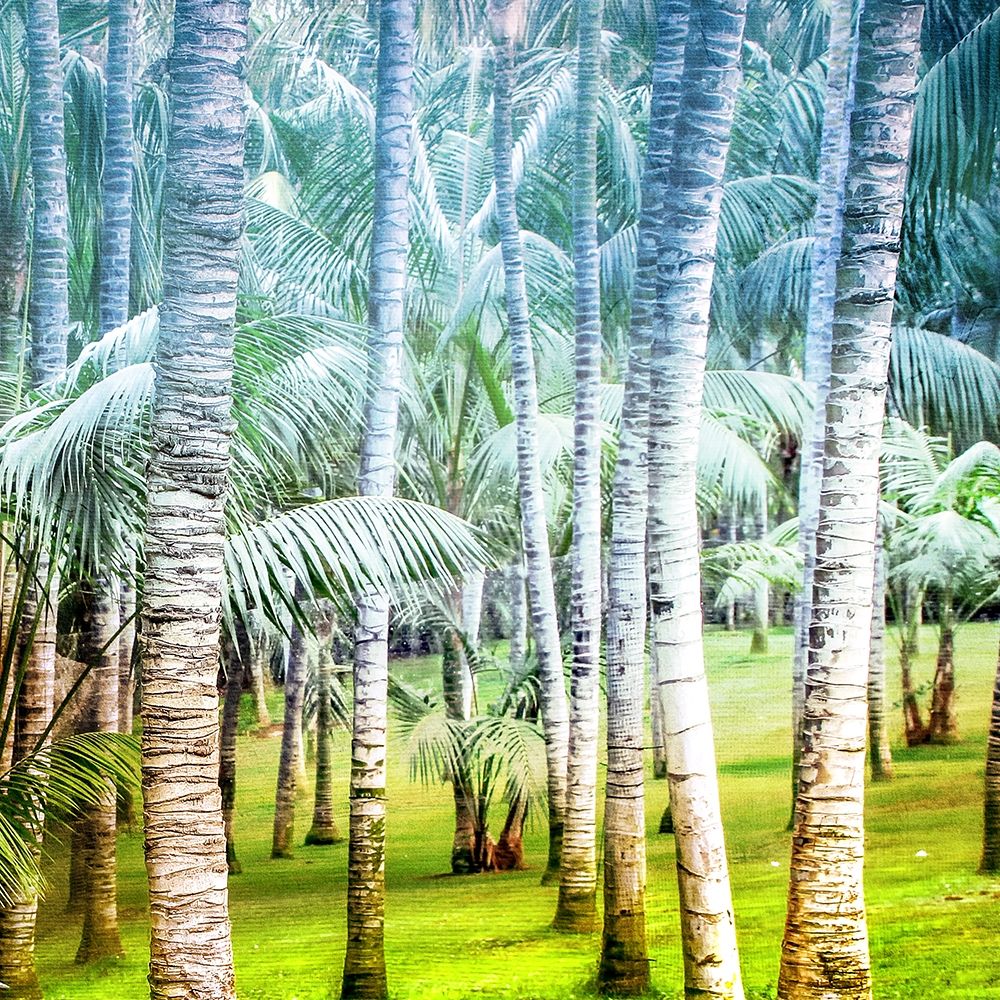 Palm Tree Forest 2 art print by Allen Kimberly for $57.95 CAD