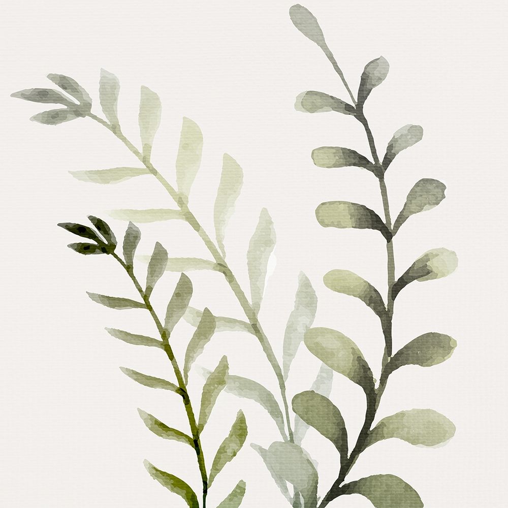 Watercolor Sage 1 art print by Kimberly Allen for $57.95 CAD