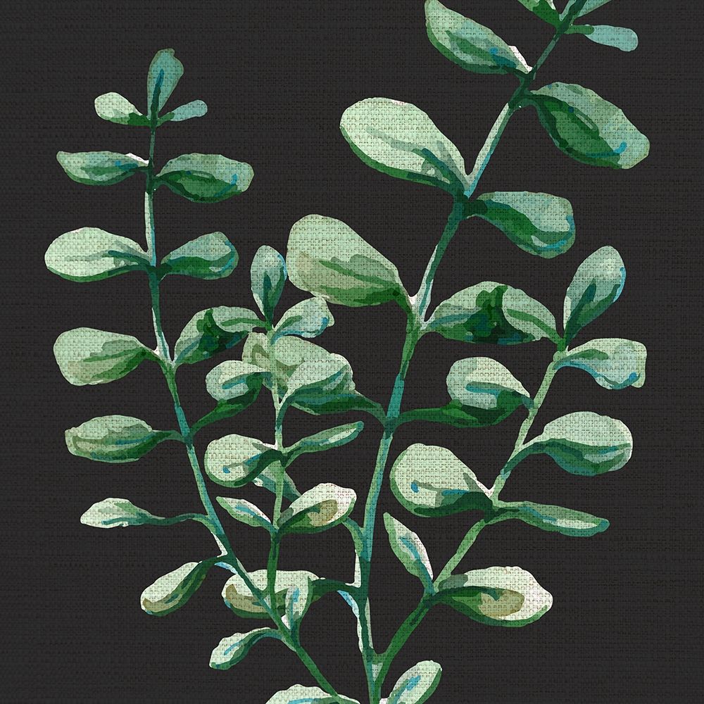 Black Greens 3 art print by Kimberly Allen for $57.95 CAD