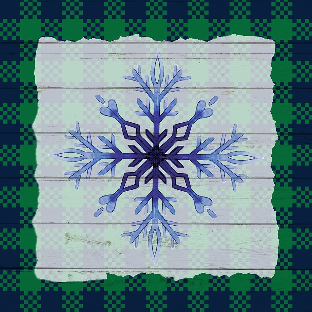 Snowflake Winter 1 art print by Kimberly Allen for $57.95 CAD