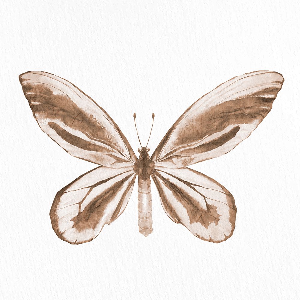 Butterfly Print 2 art print by Kimberly Allen for $57.95 CAD