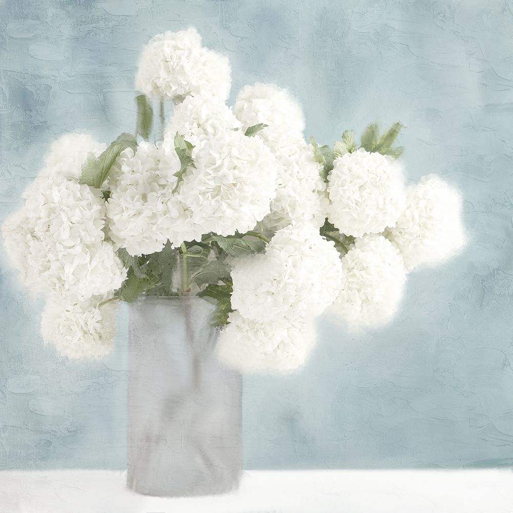 White Hydrangeas art print by Kimberly Allen for $57.95 CAD